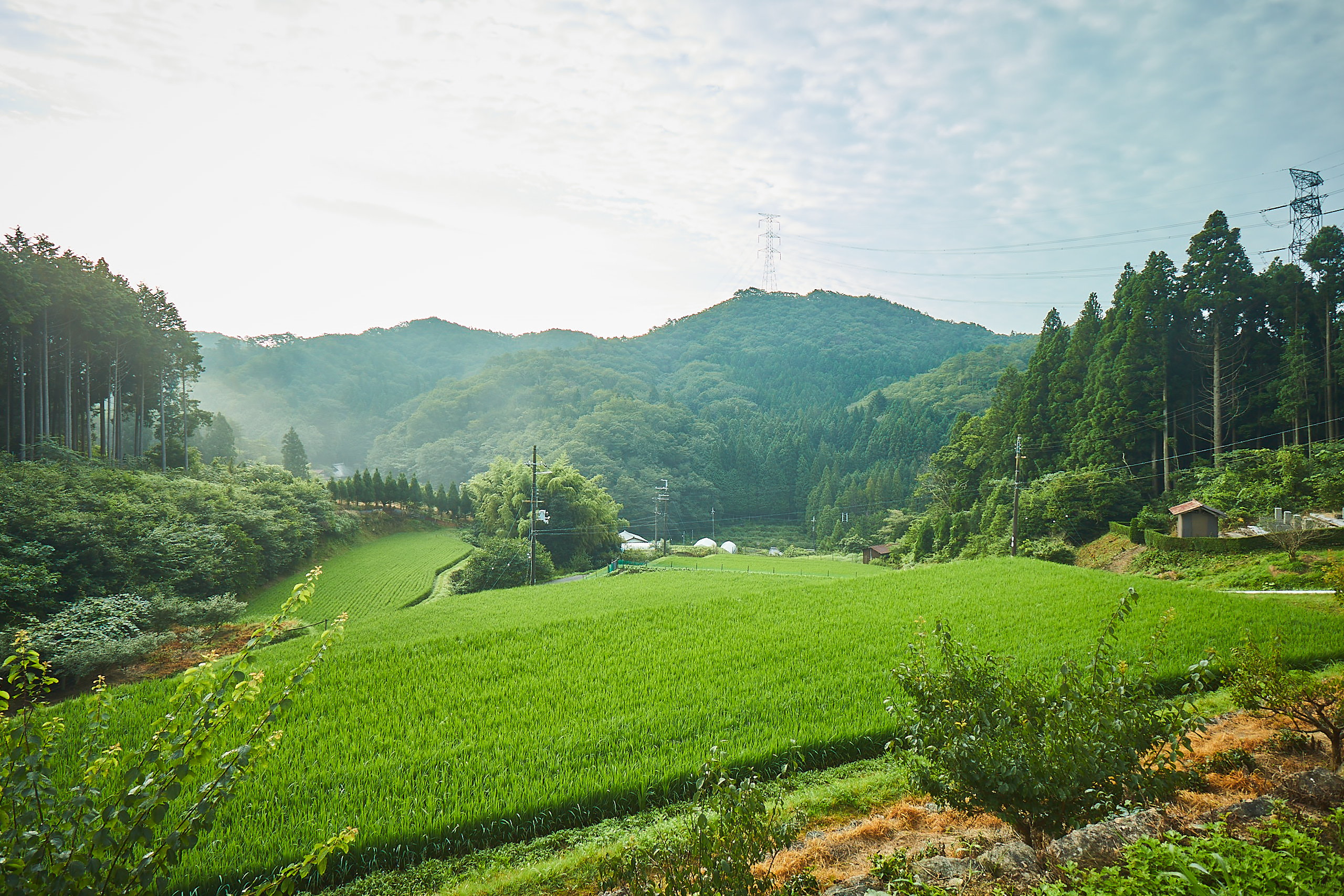 紡がれてきた天空の棚田